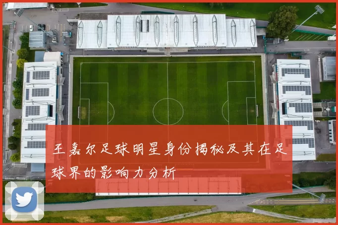 王嘉尔足球明星身份揭秘及其在足球界的影响力分析