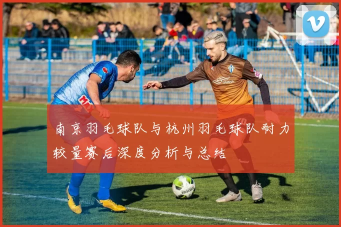 南京羽毛球队与杭州羽毛球队耐力较量赛后深度分析与总结
