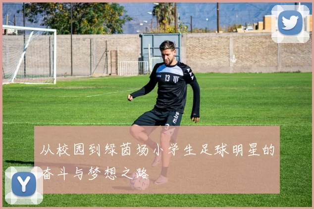 从校园到绿茵场小学生足球明星的奋斗与梦想之路