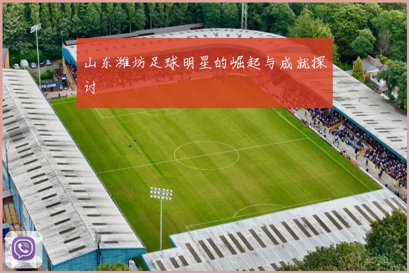 山东潍坊足球明星的崛起与成就探讨