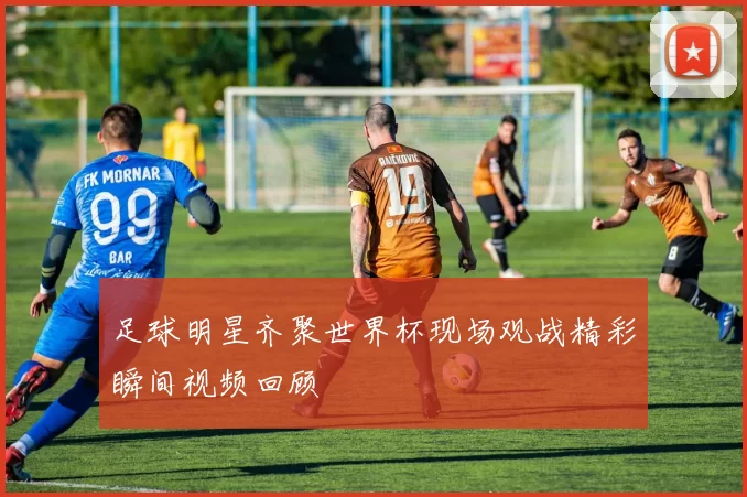 足球明星齐聚世界杯现场观战精彩瞬间视频回顾