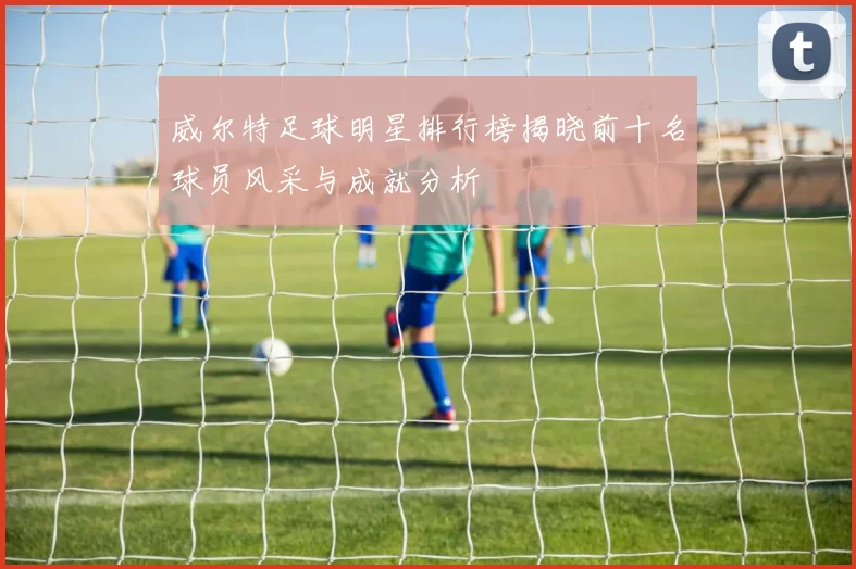 威尔特足球明星排行榜揭晓前十名球员风采与成就分析
