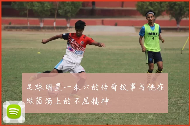 足球明星一米六的传奇故事与他在绿茵场上的不屈精神