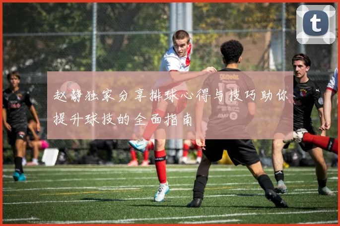 赵静独家分享排球心得与技巧助你提升球技的全面指南