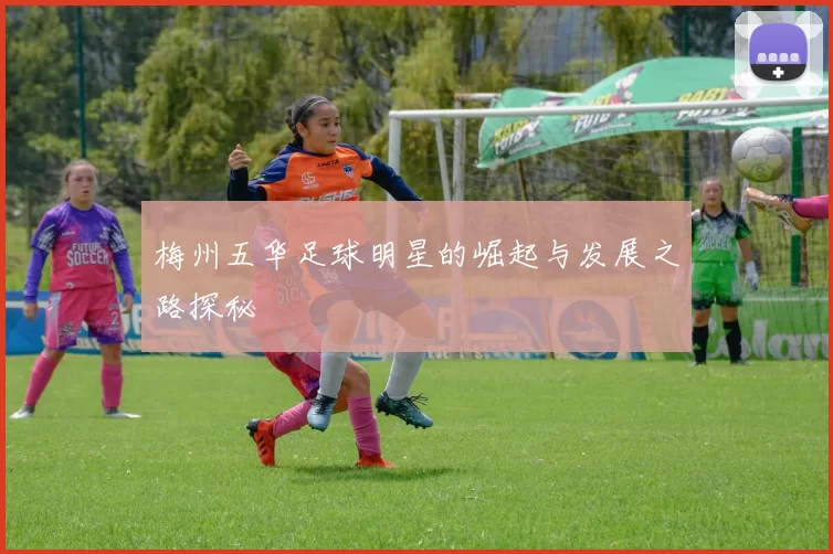 梅州五华足球明星的崛起与发展之路探秘